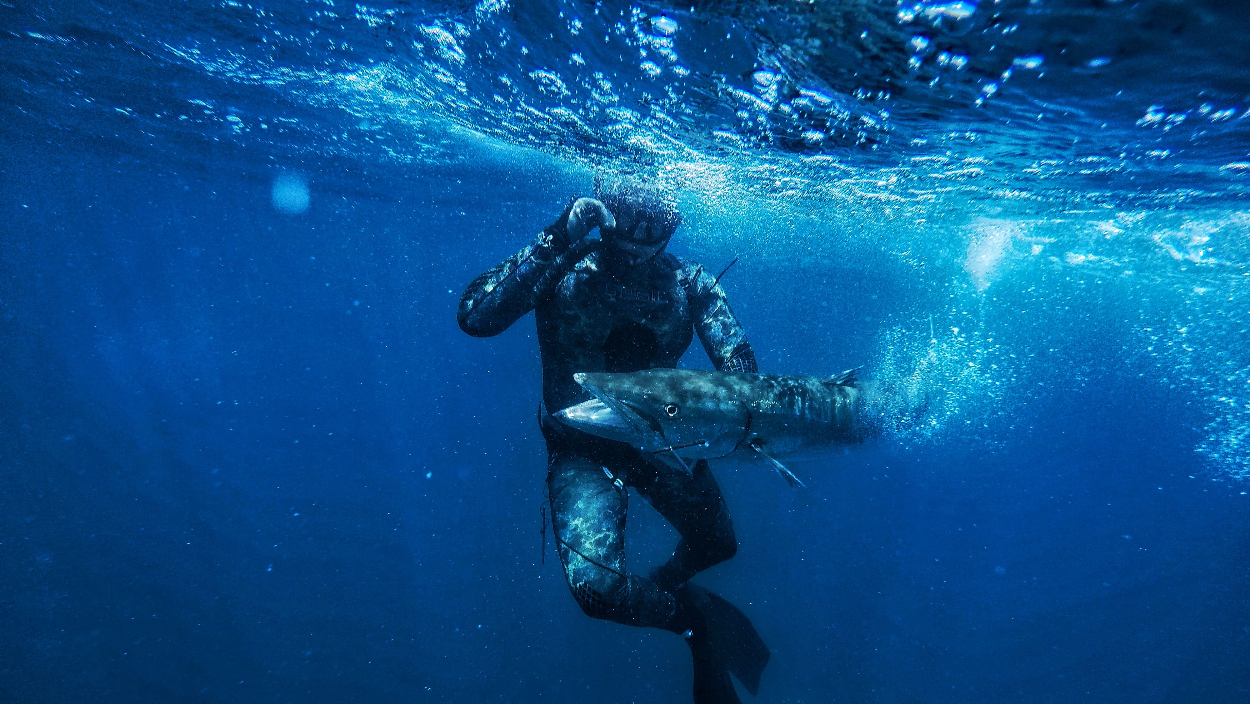 Spearfishing Trip
